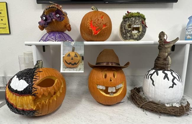 Carved and decorated pumpkins sitting on display. 
