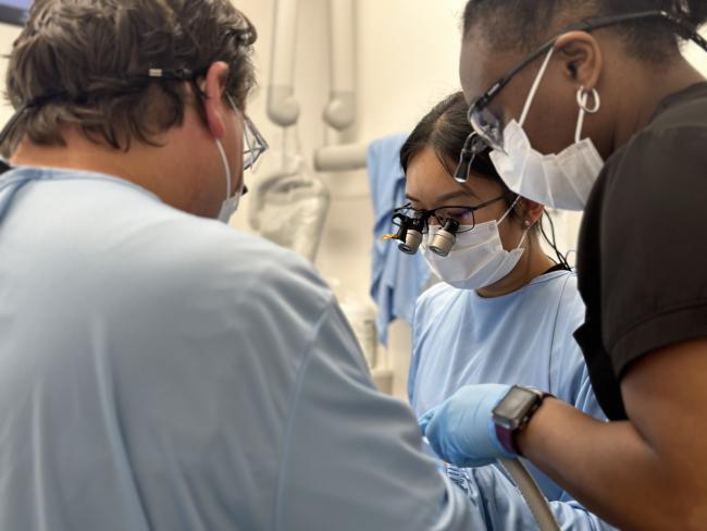 Doctors and a dental assistant during a periodontal surgery. 